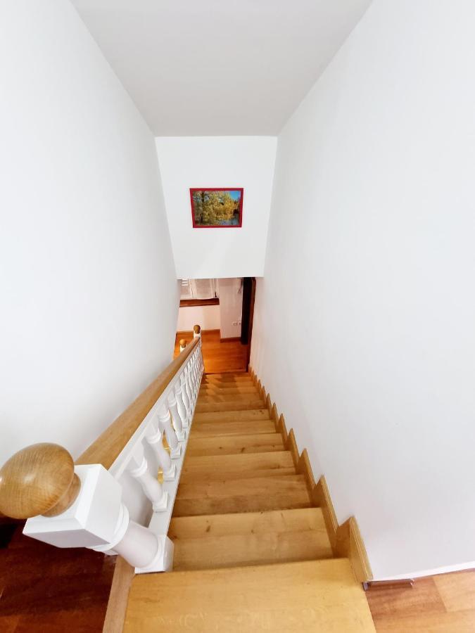 Dream Apartments Piran Buitenkant foto